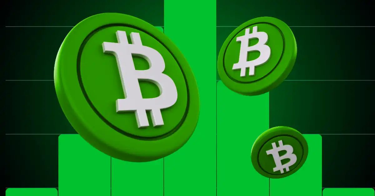 Bitcoin Cash Outpaces Bitcoin and Ethereum as Altcoin Rally Gains Steam