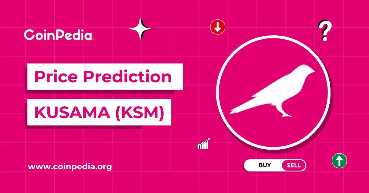 Is KSM a Good Investment?